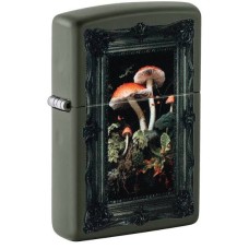 46841 Framed Fungi