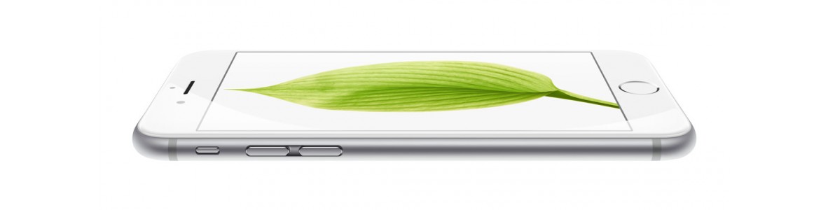 iPhone 6